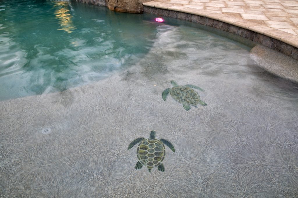 Pool Plastering 5 2